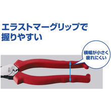 画像をギャラリービューアに読み込む, エビ　パワーペンチ
