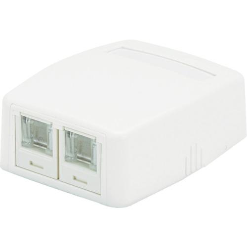 PANDUIT CAT5E rosette kit with spring shutter 2 mouths 白色 JOQ2H500
