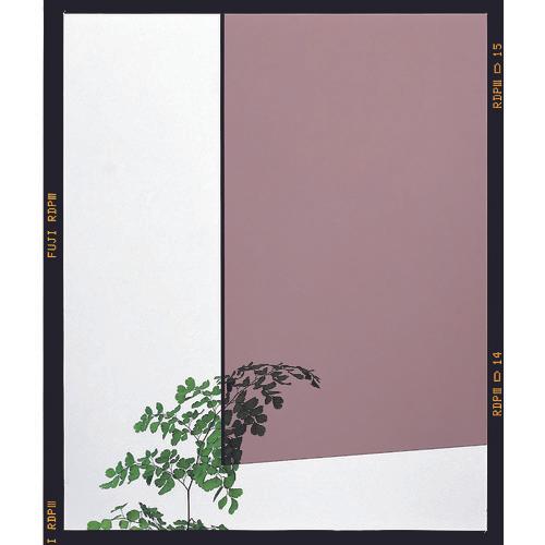 แผ่นอะคริลิกเนื้อเบา B รมควัน 900 x 1400มม. 2 แผ่น รวมวัสดุปรับความหนา