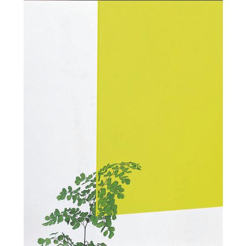 Tấm đúc acrylic nhẹ 1860x930 2t huỳnh quang xanh