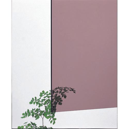 Tấm đúc acrylic nhẹ 1860x930 3t màu nâu khói