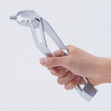 Load image into gallery viewer, Shrimp vertical lamp pliers 250mm
