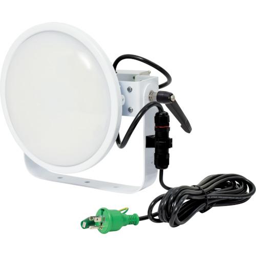 NICHIDO HI-DISC 100W power supply integrated type day white floodlight type milky white wide