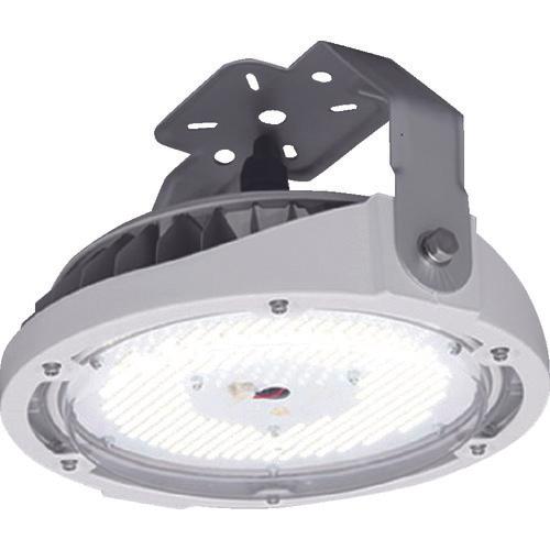 IRIS high ceiling LED lighting RZ180 series Direct mounting type 20000lm