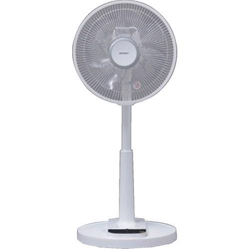 IRIS 509296 remote control living room fan (Dark Canyon motor type