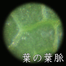 โหลดรูปภาพลงในโปรแกรมดูแกลเลอรี กล้องจุลทรรศน์แบบพกพาＫＯＮＴＥＣ
