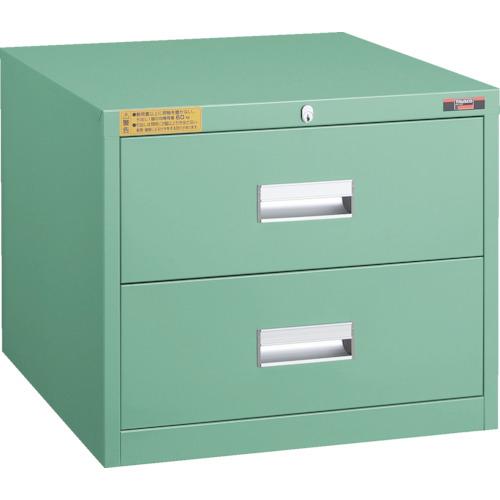 Tủ TRUSCO LVE loại 500X550XH420 2 ngăn kéo