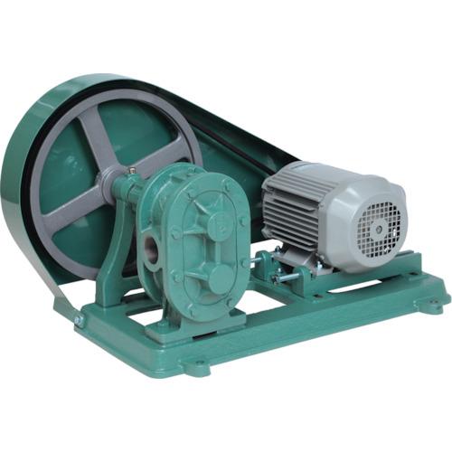 NK gear pump (motor connected type)