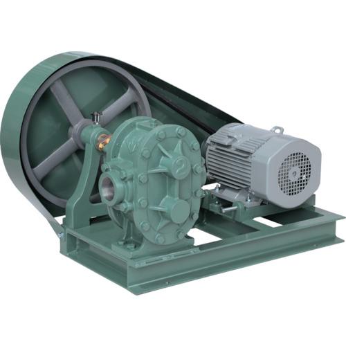 NK gear pump (motor connected type)