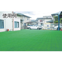 โหลดรูปภาพลงในโปรแกรมดูแกลเลอรี ขอบสำหรับ TERAMOTO UNIT Turf α
