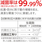 画像をギャラリービューアに読み込む, TERAMOTO 抗菌安全スノコ（完成品）６００×９００ｍｍ　緑
