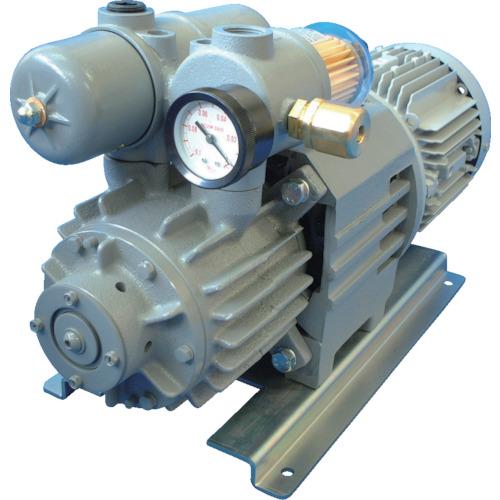 Mitsumi Complete Oil-Free Rotary Pump