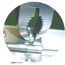 画像をギャラリービューアに読み込む, エビ　ネジアンギラス　１７５ｍｍ
