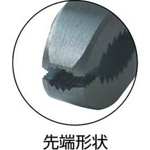 画像をギャラリービューアに読み込む, エビ　ネジアンギラス　１７５ｍｍ

