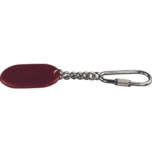 Light color key holder