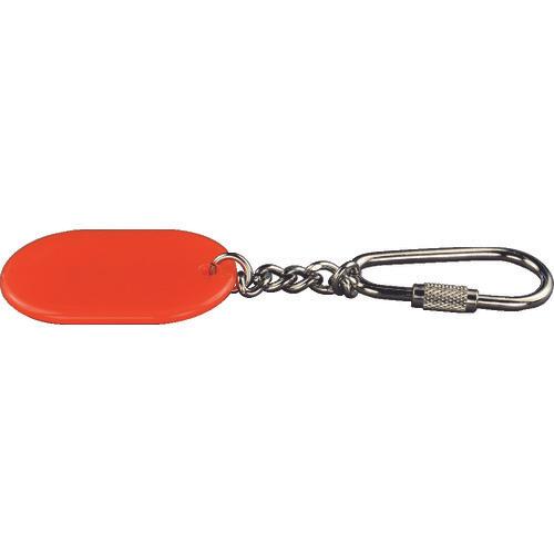 Light color key holder