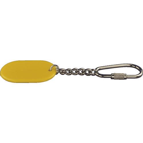 Light color key holder