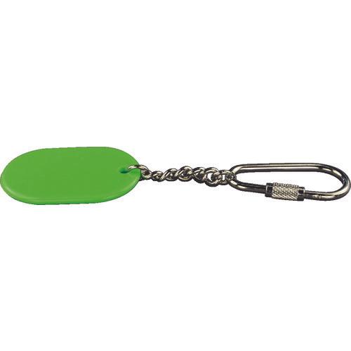 Light color key holder