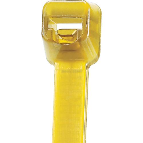 สายรัดสายไฟ PANDUIT PEEK (100 ชิ้น)