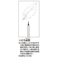 โหลดรูปภาพลงในโปรแกรมดูแกลเลอรี AKASHIYA และใบหน้าพังพอน (ใหญ่)

