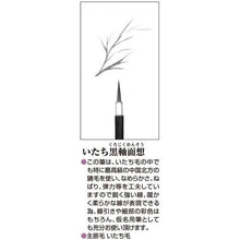 画像をギャラリービューアに読み込む, あかしや　いたち黒軸面想（中）
