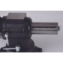 Load image into gallery viewer, TRUSCO medium-sized multi-combi vise 125 mm
