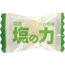 Load image into gallery viewer, TRUSCO [* Light tax] Shioame Shio no Chikara 750g Ome flavor refill bag (1 bag included)
