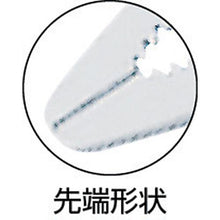 画像をギャラリービューアに読み込む, エビ　シンノーズプライヤＢＰ入り　２００ｍｍ
