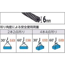 โหลดรูปภาพลงในโปรแกรมดูแกลเลอรี ลวดสลิงสลิง TRUSCO ย่อหน้า 6mm x 2m
