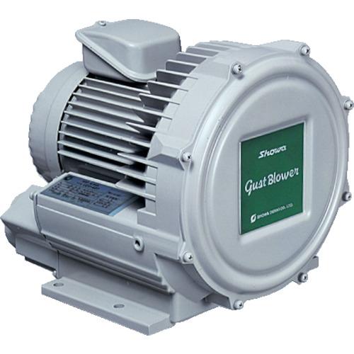 SHOWA Electric Blower Eddy current type high pressure series Gust blower series (0.07 kW)