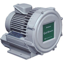 Load image into gallery viewer, SHOWA Electric Blower Eddy current type high pressure series Gust blower series (0.3 kW)
