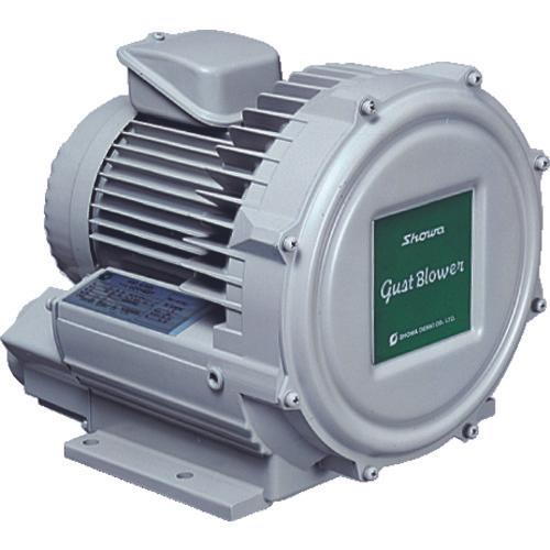 SHOWA Electric Blower Eddy current type high pressure series Gust blower series (0.3 kW)