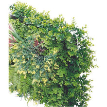 โหลดรูปภาพลงในโปรแกรมดูแกลเลอรี แผ่นยางยูริเทนสีเขียว Rileya พร้อมใบข้าง4
