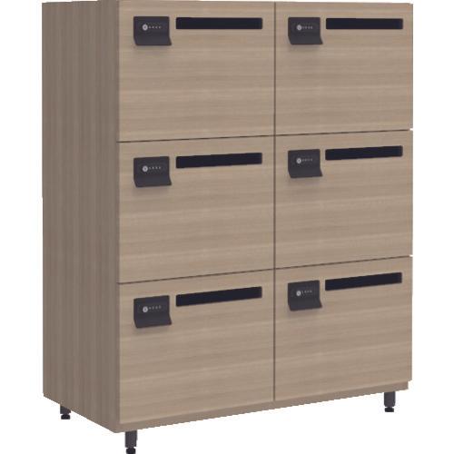 Tủ đựng đồ cá nhân bằng gỗ TRUSCO có ổ cắm 2 hàng 3 bậc Grigi sồi