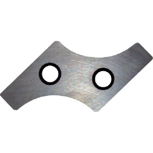 FUJIGEN R Giga Dedicated Tip Carbide M Type 12R NK2020
