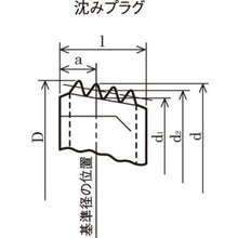 画像をギャラリービューアに読み込む, ＴＲＵＳＣＯ　テ－パ－沈みプラグＳＰ２　ＰＴ３／４　２個入
